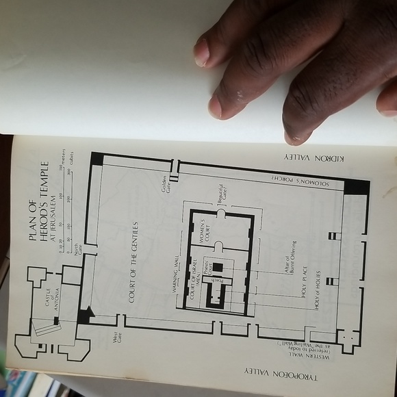 Giant Print Good News New Testaments - Picture 7 of 9